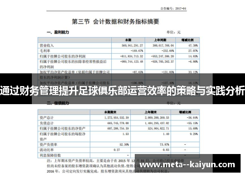 通过财务管理提升足球俱乐部运营效率的策略与实践分析 通过财务管理提升足球俱乐部运营效率的策略与实践分析