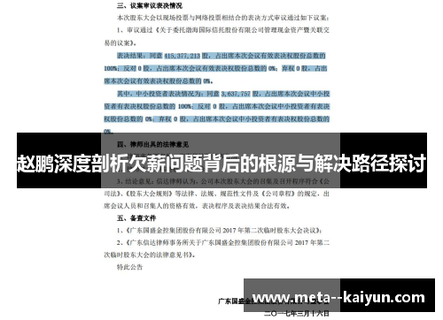 赵鹏深度剖析欠薪问题背后的根源与解决路径探讨