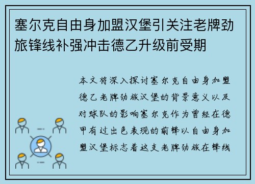 塞尔克自由身加盟汉堡引关注老牌劲旅锋线补强冲击德乙升级前受期 塞尔克自由身加盟汉堡引关注老牌劲旅锋线补强冲击德乙升级前受期